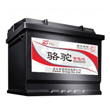 1S免維護(hù)鉛酸電池